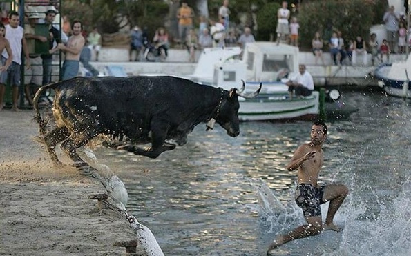 Charging Bull (Source: Eat, pray & blog)